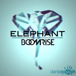 Dancepush Elephant Chart!