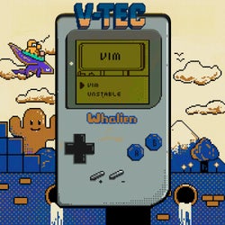 VIM