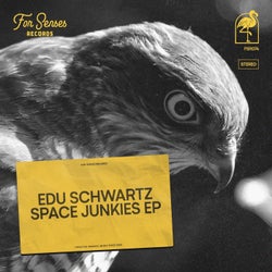 Space Junkies