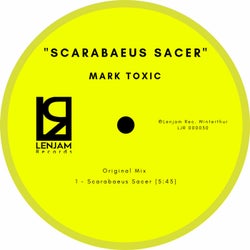 Scarabaeus Sacer