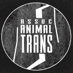 Animal Trans