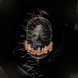 Rat Cage