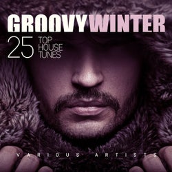 Groovy Winter (25 Top House Tunes)