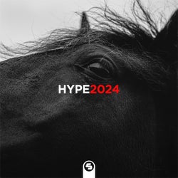 Hype2024