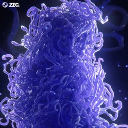Chromatids