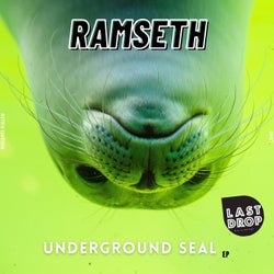 Underground Seal