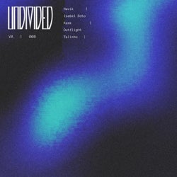 Undivided #008