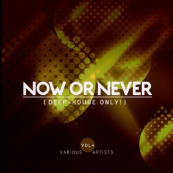 Now Or Never, Vol. 4 (Deep-House ONLY!)