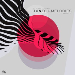 Tones & Melodies Vol. 6