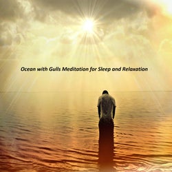 Ocean with Gulls Meditation for Sleep and Relaxation (Meditation)