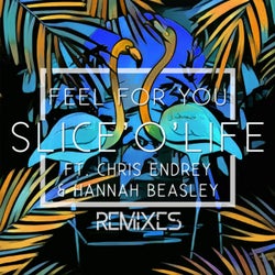 Feel for You (feat. Chris Endrey, Hannah Beasley) [Remixes]