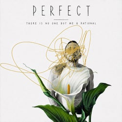 PERFECT