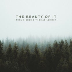 The Beauty of It (Reimagined)