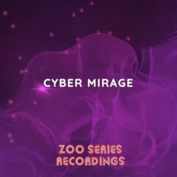 Cyber Mirage