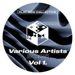 Play Nice Collective - VA 2025 Vol.1
