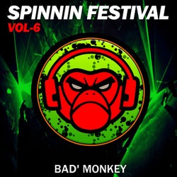 Spinnin Festival Vol. 6, compiled by Bad Monkey