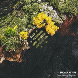 Eucalyptych