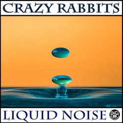 Liquid Noise