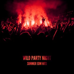 Wild Party Night: Summer EDM Hits