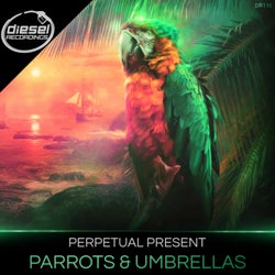 Parrots & Umbrellas