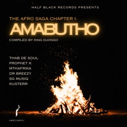 The Afro Saga Chapter 1: Amabutho - Compiled by King Djongo