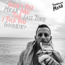Didn't You Hear Me The Last Time I Told You Goodbye?