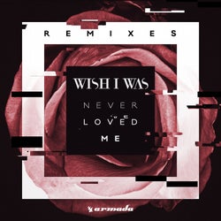 Never Loved Me - Remixes