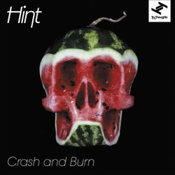 Crash and Burn (feat. Natalie Storm)