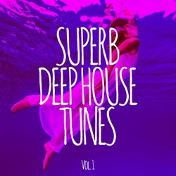 Superb Deep House Tunes, Vol. 1