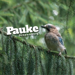 Pauke July Selections