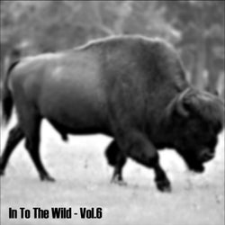 In To The Wild - Vol.6