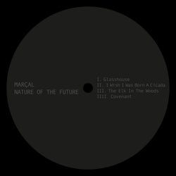 Nature Of The Future