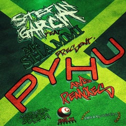 Pyhu (feat. Mr. Shammi) [Put Your Hands Up]
