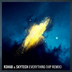 Everything (VIP Remix)
