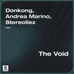The Void (Extended Mix)