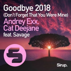 Goodbye (Don't Forget That You Were Mine) 2018