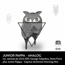 Analog (Remixes)