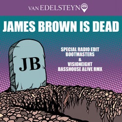 James Brown Is Dead (Special Radio Edit) (Bootmasters & Visioneight Rmx)