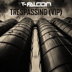 Trespassing (VIP) (Radio Edit)