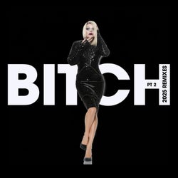 BITCH (2025 Remixes, Pt. 2)
