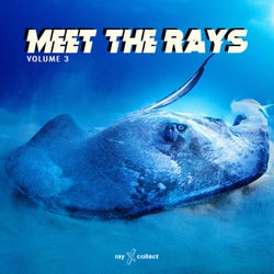Meet The Rays EP, Vol.3