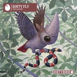 Dirty Fly