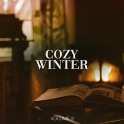 Cozy Winter, Vol. 3 (Calm & Smooth Electronic Beats For Reading, Relaxing And Chill At Home)