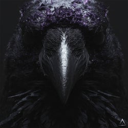 Raven
