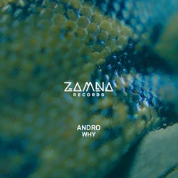 Why (Extended Mix)