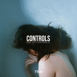 Controls - Single