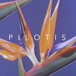 Pilotis