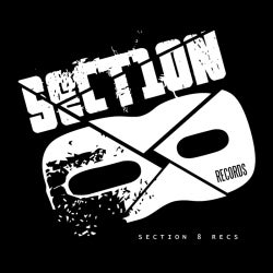 Section 8
