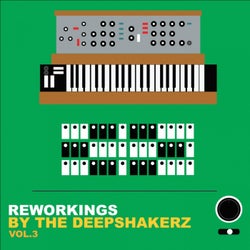 Reworkings By The Deepshakerz, Vol. 3
