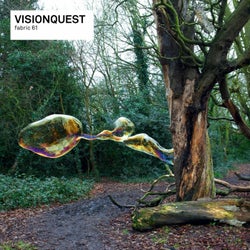 fabric 61: Visionquest